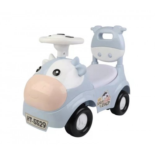 Push Car for Baby